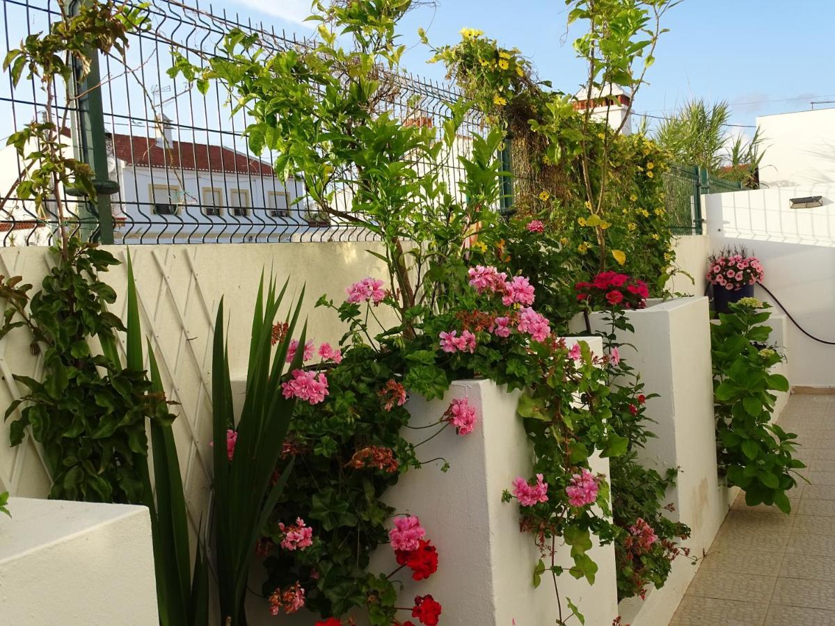Casa Dos 2 Patios By Stay In Alentejo 米尔芳提斯城 外观 照片
