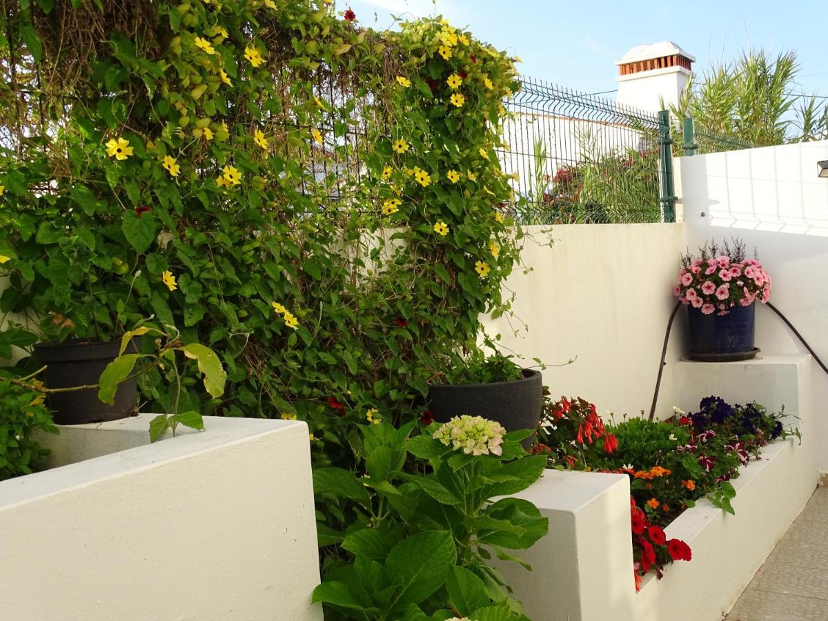 Casa Dos 2 Patios By Stay In Alentejo 米尔芳提斯城 外观 照片